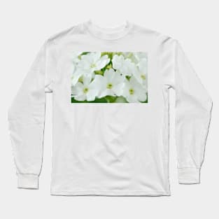 Verbena  Aztec White Magic = 'Balzamawite'  Aztec Series Long Sleeve T-Shirt